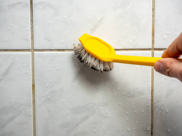 Best Black Mold Remediation in Lake Isabella, CA