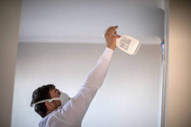 Best Localized Mold Remediation (e.g., coastal areas, humid climates) in Lake Isabella, CA