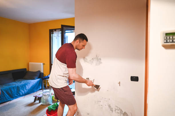 Trusted Lake Isabella, CA Mold Remediation Experts
